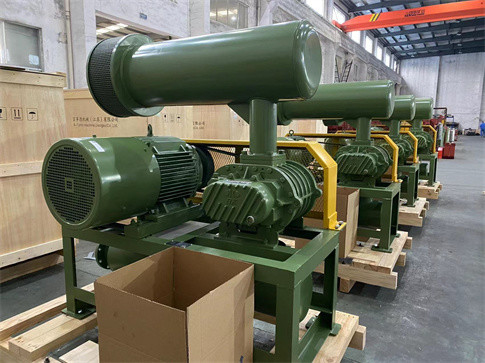 37kw 1450rpm 0.5 بار 30m3 / دقيقة 6 "معالجة مياه الصرف الصحي تبريد الهواء الجذور النوع النفخة