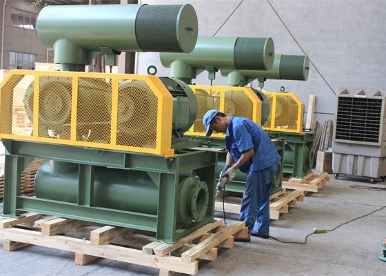 10" 80kpa 71.52m3/Min 132kw حديد صب ثلاثة أجزاء الجذور المنفخة