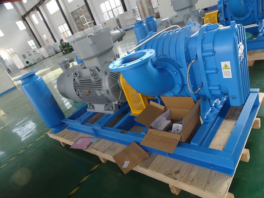 DN40 0.42-1.42 M3/min طاحونة جذور الفولاذ المقاوم للصدأ للغاز الخاص