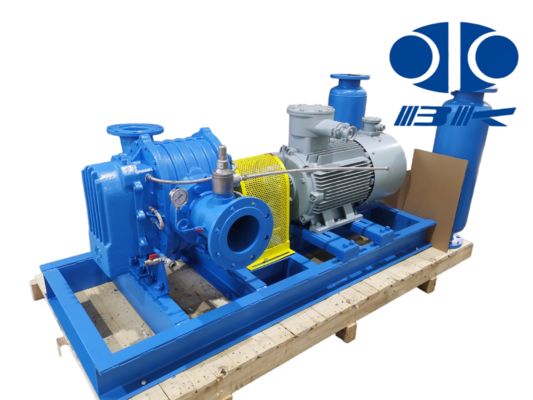Corrosion Resistant Water Cooled Roots Blower Explosion Proof Biogas Blower for Special Gas Conveying