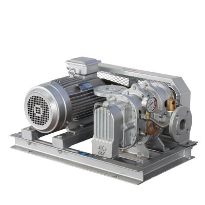 BX100 4'' 3.18-11.74 م3/دقيقة 0.1-0.7 كغف/سم2 BX سلسلة الفولاذ المقاوم للصدأ الجذور منفخ