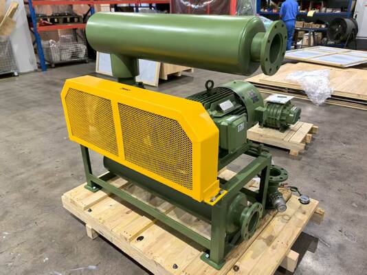 مضخة تفريغ منفاخ الجذور موديل BV10034 بأبعاد مدخل ومخرج DN350 لسعة هواء التفريغ في مختلف الصناعات