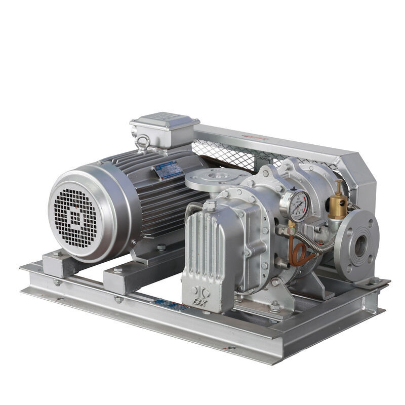 BX100 4'' 3.18-11.74 م3/دقيقة 0.1-0.7 كغف/سم2 BX سلسلة الفولاذ المقاوم للصدأ الجذور منفخ