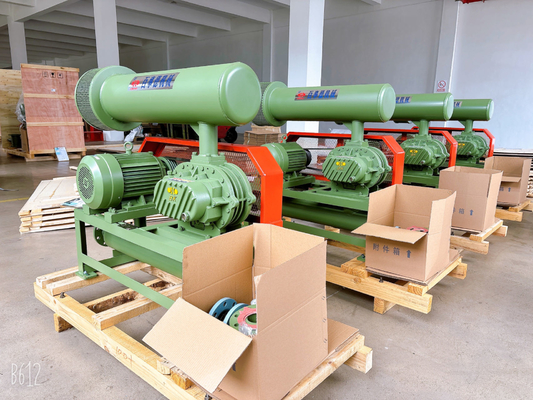 4.89-17.86m3/Min 100mm الميناء dia. الدوار 10KPA - 50 KPA Tri Lobe Roots Blower مُهَبَّة موثوقة
