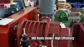 منفاخ الجذور BKD